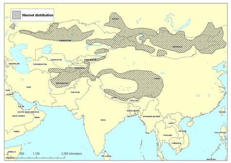 2: The current geographical distribution of marmot species (Marmota ...