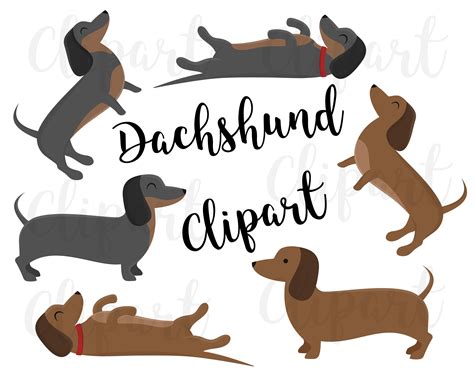 Free Dachshund Puppy Cliparts, Download Free Dachshund Puppy Cliparts png images, Free ClipArts ...