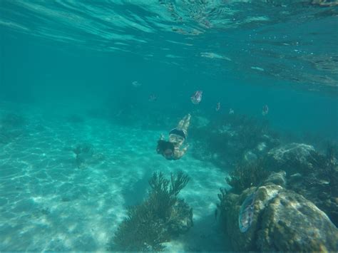 Riviera Maya Snorkeling Guide to Snorkel (almost) for Free 2022