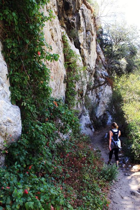 Bridge to Nowhere Trail: A Great Hike in Azusa - California Through My Lens | West coast travel ...