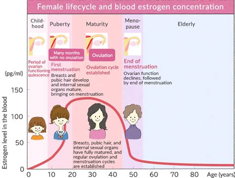 The effect of hormonal changes on the body | Otsuka Pharmaceutical Co., Ltd.