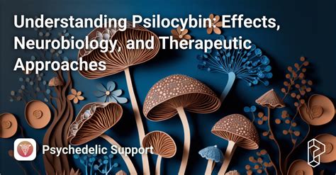 Understanding Psilocybin: Effects, Neurobiology, and Therapeutic Approaches