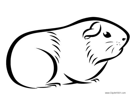 Guinea Pig Coloring Pages Drawings - Free Printable Coloring Pages