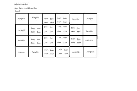 Three Sisters Garden Layout | Fasci Garden