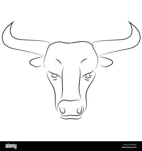 Bull head drawing hi-res stock photography and images - Alamy