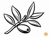 Olive Coloring Page For Kids  Free Printable Lovers sketch template