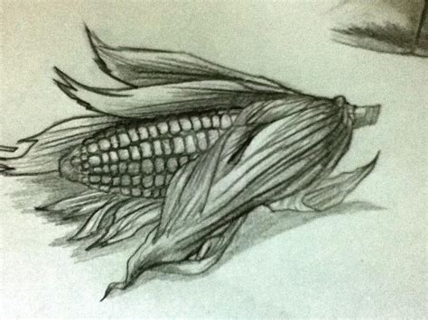 A Corn Realistic Sketch by DiamondStarDust on DeviantArt