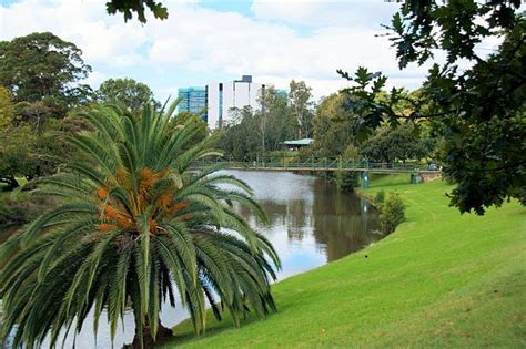 Best Parramatta River Stock Photos, Pictures & Royalty-Free Images - iStock