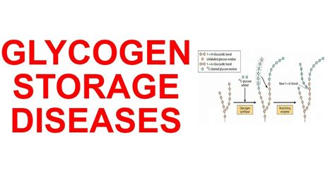 Glycogen Storage Disorders | Dandk Organizer