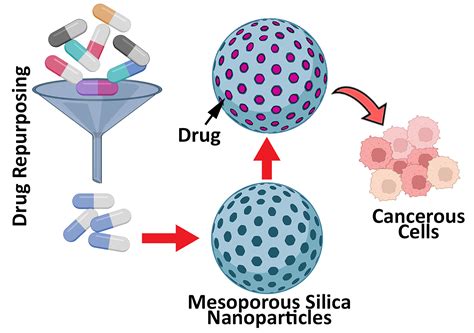 Application of Mesoporous Silica Nanoparticles in Cancer Therapy and ...