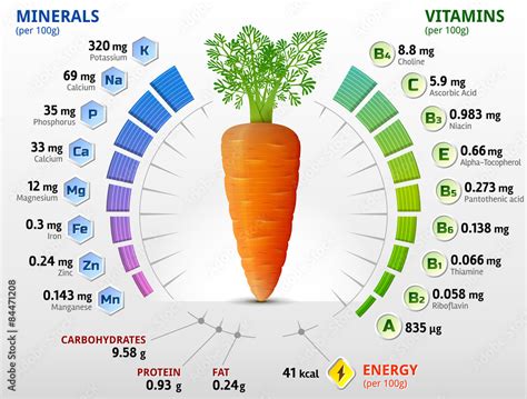 Vitamins and minerals of carrot tuber. Carrot nutrition facts Stock ...