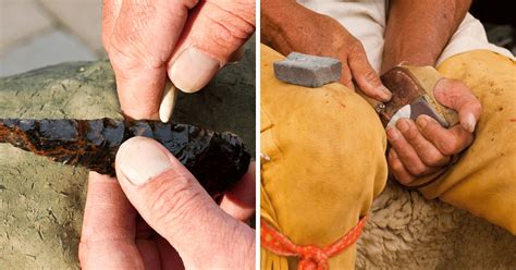 Mastering The Art of Flintknapping (7 Essential Tips to Kickstart Your ...