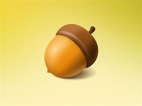 Acorn by Tomson.li on Dribbble