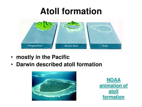 PPT - Coral reefs Chapter 9 PowerPoint Presentation - ID:5316536