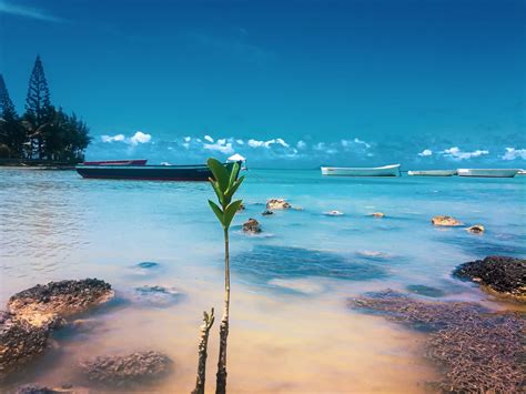 The 17 Best Beaches in Mauritius • MUST-READ 2024 GUIDE