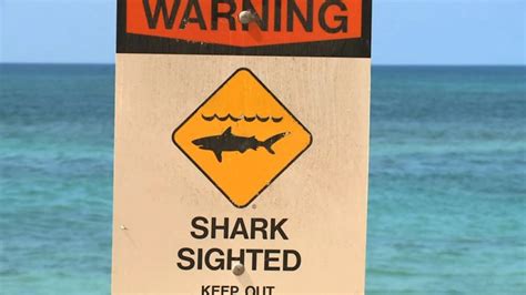 Hawaii shark attack injures surfer | CNN