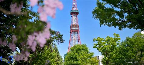 Sapporo Odori Park, Sapporo - Book Tickets & Tours | GetYourGuide