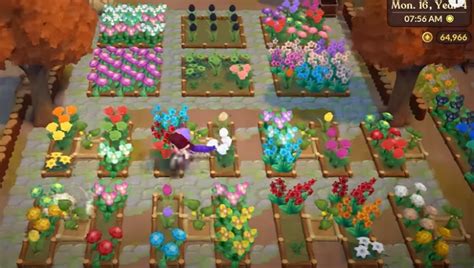 Find Flower Seeds In Fae Farm - The Nature Hero