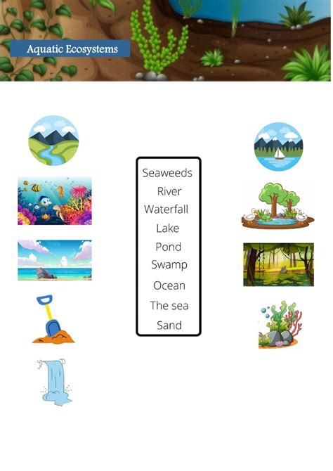 Worksheets For Grade 3, Vocabulary Worksheets, Ecosystem Activities, Aquatic Ecosystem ...