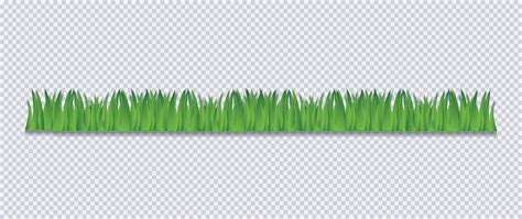 Grass Border Vector Illustration 2423955 Vector Art at Vecteezy