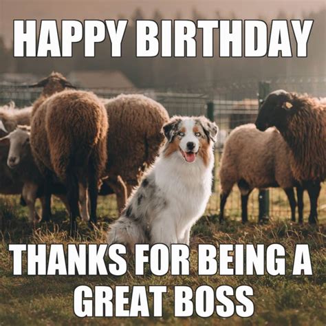 15 Funny Happy Birthday Memes For Your Boss