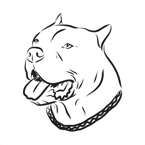 pit bull terrier vector sketch 7310561 Vector Art at Vecteezy