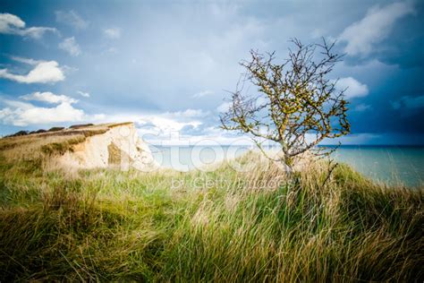 White Cliffs of Dover Stock Photos - FreeImages.com