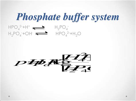 Phosphate Buffer System Equation