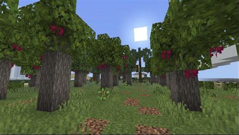 An orchard design I made : r/Minecraft