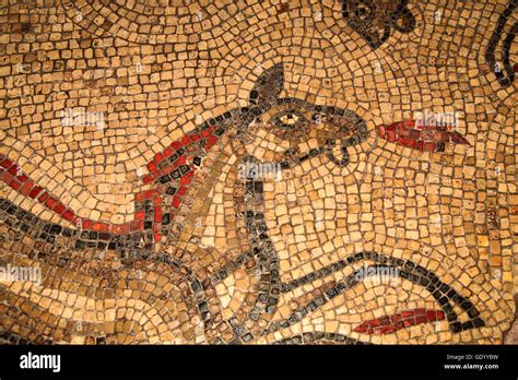 Roman Mosaic at the Roman Baths, Bath, England Stock Photo: 111866941 - Alamy