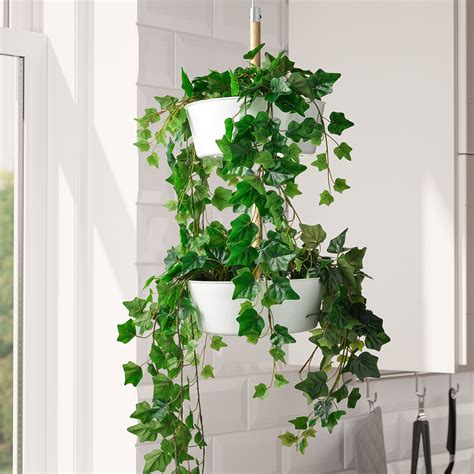 FEJKA Artificial potted plant, indoor/outdoor/hanging Ivy, 4 ¾" - IKEA