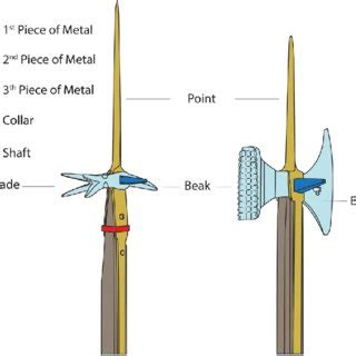 The artworks depicting halberd types described in the text. Period ...