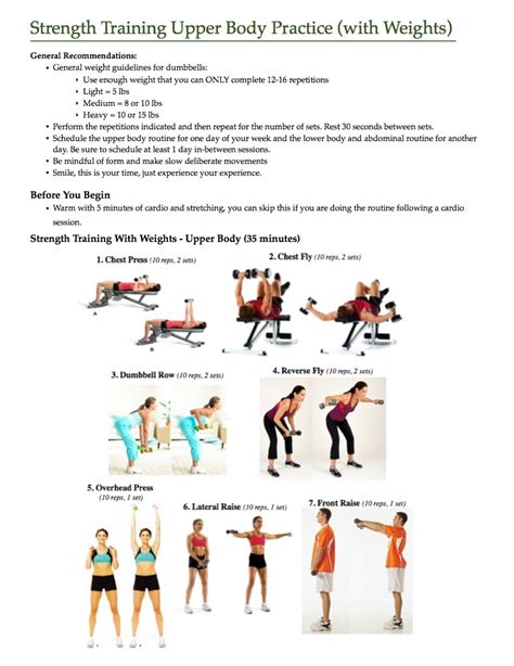 Muscular Strength And Endurance Upper Body Exercises - Exercise Poster