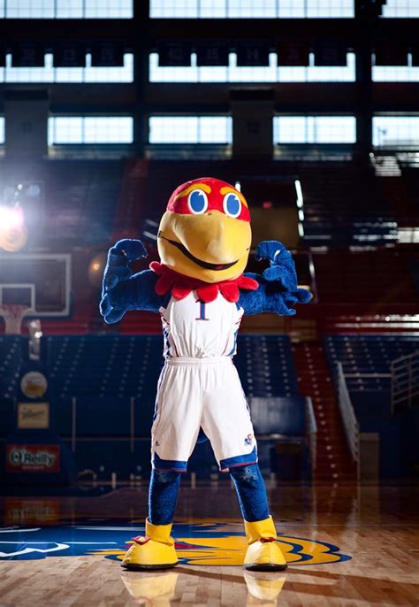 A photo I did awhile back of KU's mascots Rock Chalk Jayhawk ...