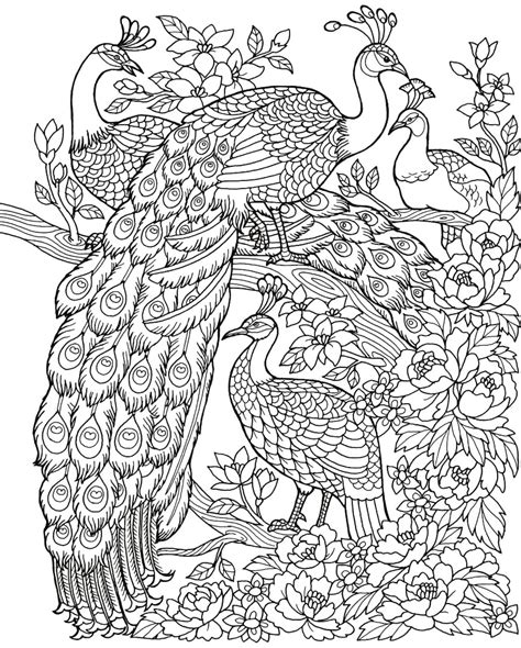 Freebie Friday Peacock Adult Coloring Book