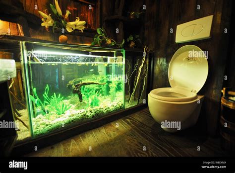 View of a fish tank in a wooden toilet in China Stock Photo - Alamy