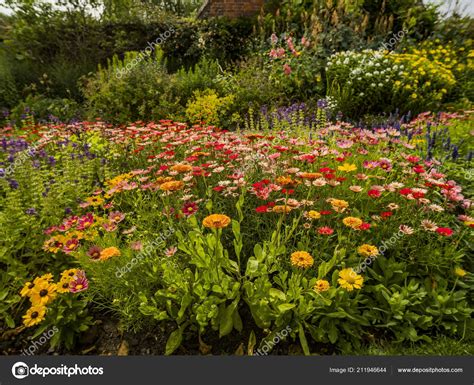 Pictures: french country gardens | English Country Cottage Garden Flowers Stately Home — Stock ...