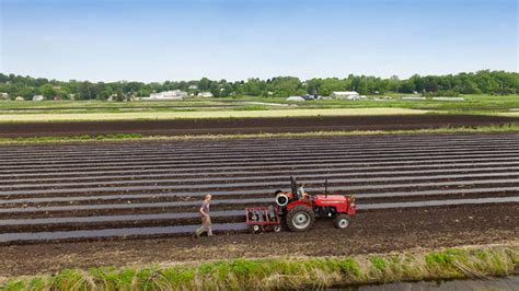 Can Organic Farming Grow in New York’s Fertile Black Dirt Region? | Civil Eats