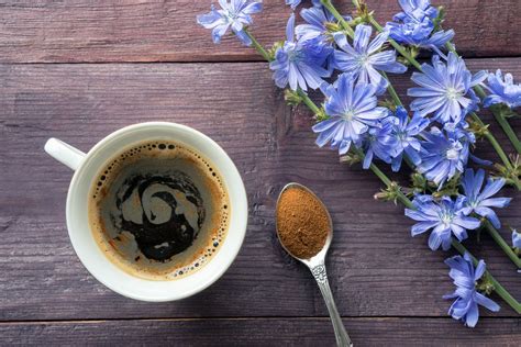 Drinking Chicory: A Caffeine-Free Alternative to Coffee