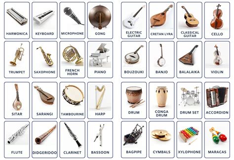 Musical Instruments 32 Editable Montessori Cards, Flash Cards, Nomenclature Flashcards, PDF ...