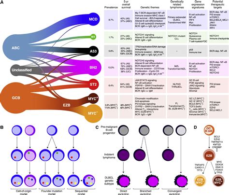 A Probabilistic Classification Tool for Genetic Subtypes of Diffuse ...