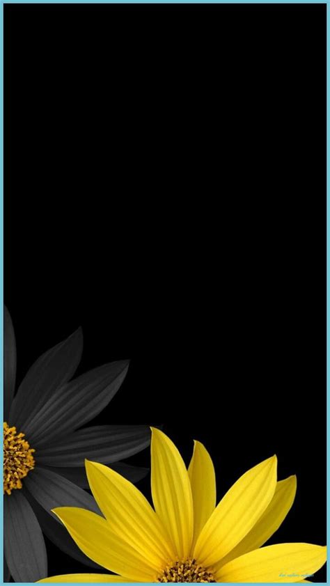 Share 63+ black sunflower wallpaper latest - in.cdgdbentre