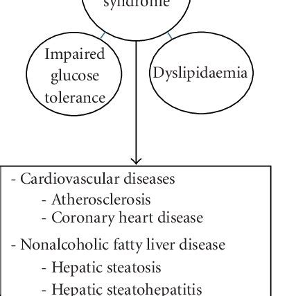 Metabolic syndrome and associated complications. | Download Scientific ...