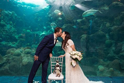 The Florida Aquarium Archives - Marry Me Tampa Bay | Local, Real Wedding Inspiration & Vendor ...