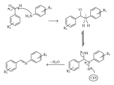 A proposed mechanism for the synthesis of a Schiff base. | Download Scientific Diagram