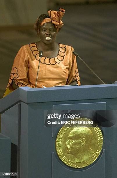 856 Wangari Maathai Photos & High Res Pictures - Getty Images