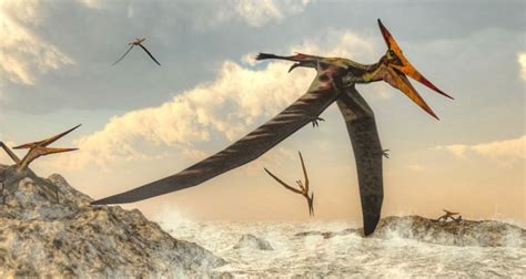 The Different Dinosaur-Like Creatures We Know Could Fly