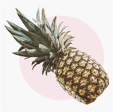 #pineapple #pineapple🍍 #vintage #aesthetic #retro - Pineapple Aesthetic, HD Png Download - kindpng