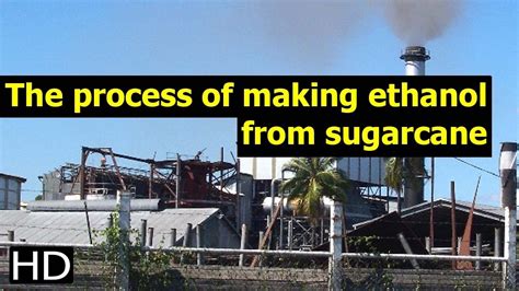 The process of making ethanol from sugarcane - YouTube