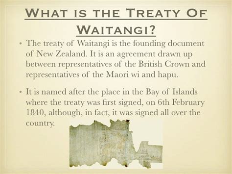 Wendy's Treaty of waitangi (national conflict)